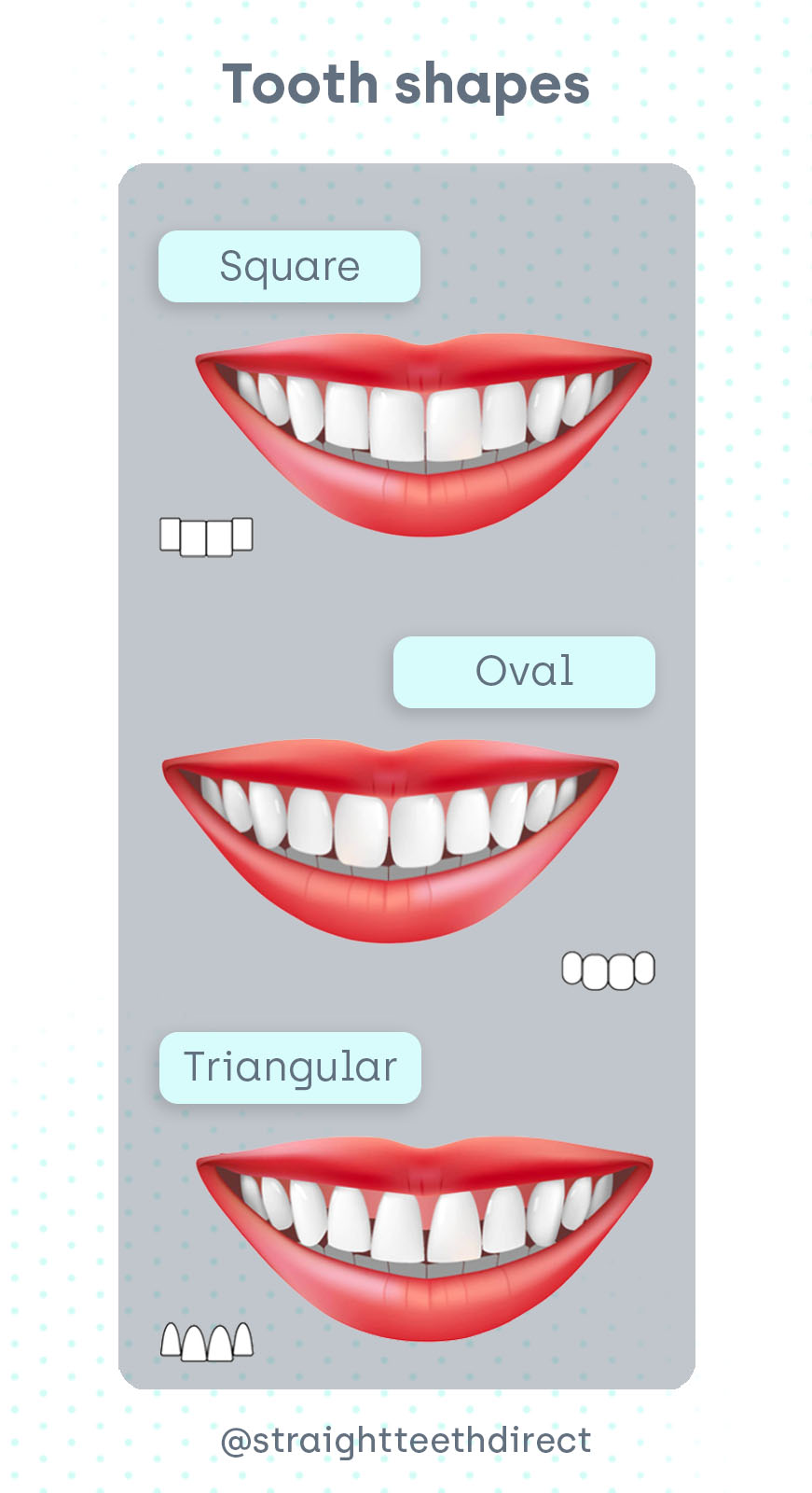 tooth shapes