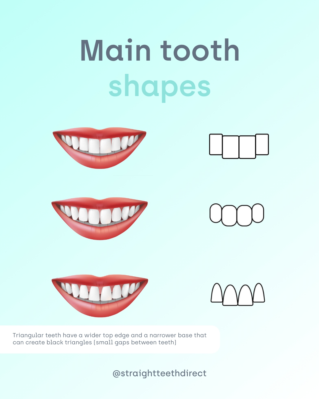 Main tooth shapes
